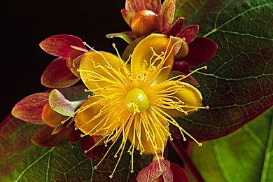 欧洲2月榜：《绝地潜兵2》领头游戏销量强劲