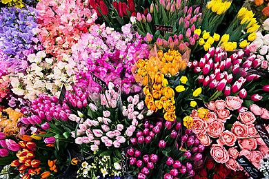 做一回真正的键盘侠 《键盘战士RPG》公布游戏原型预告片